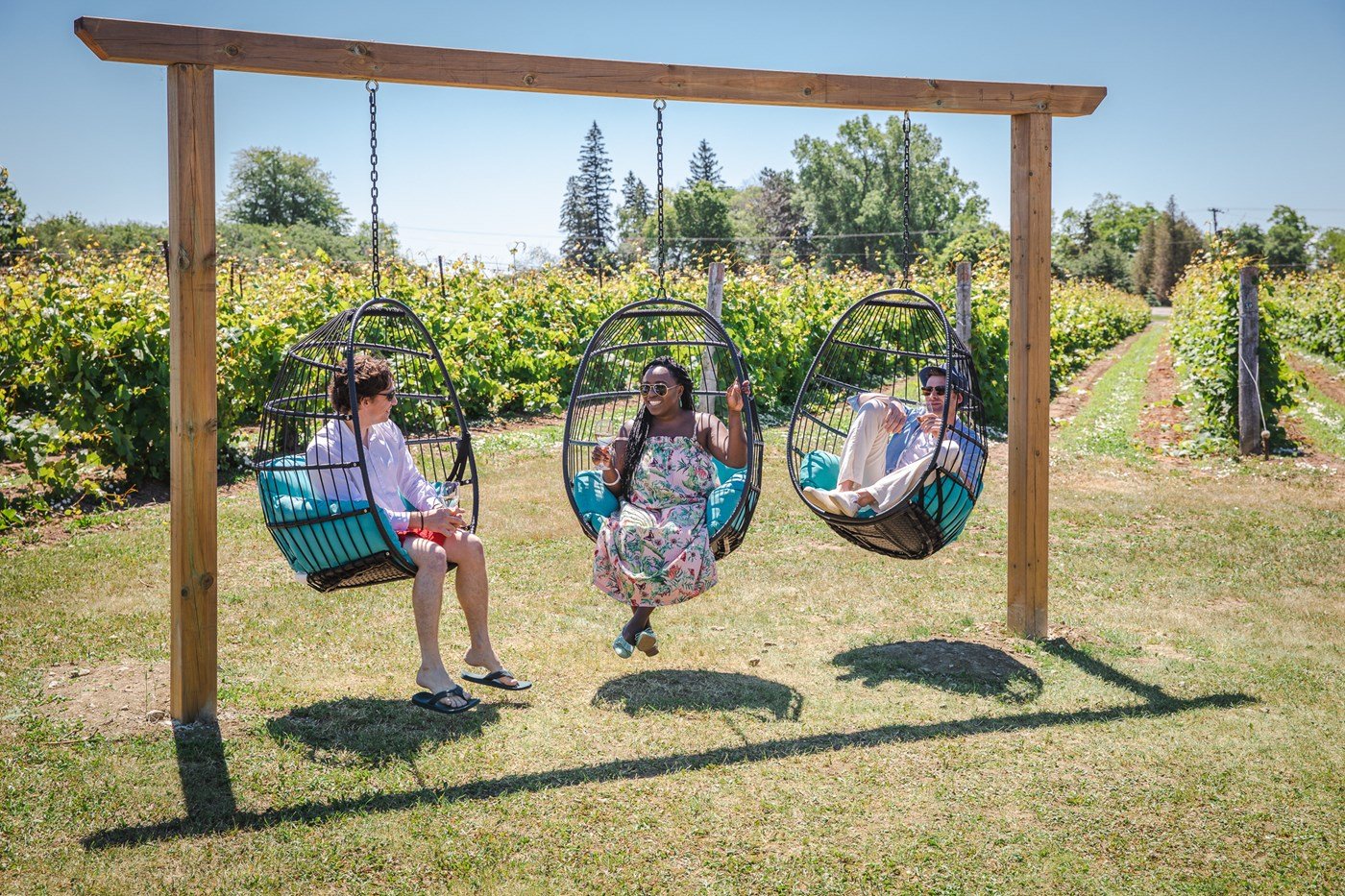 Friends enjoying a glass of Sandbanks wine while sitting in egg chairs at the Sandbanks Winery.