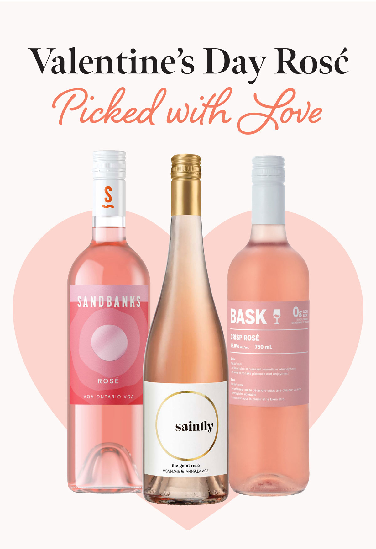 Valentine's Day Rose